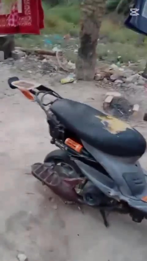 منغولي • بوشه • ٥٠