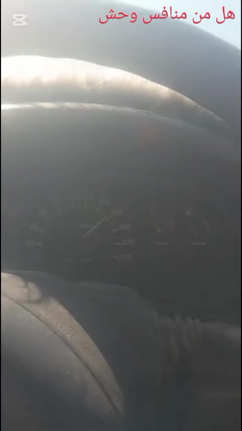 مراوس • للبيع • سعر