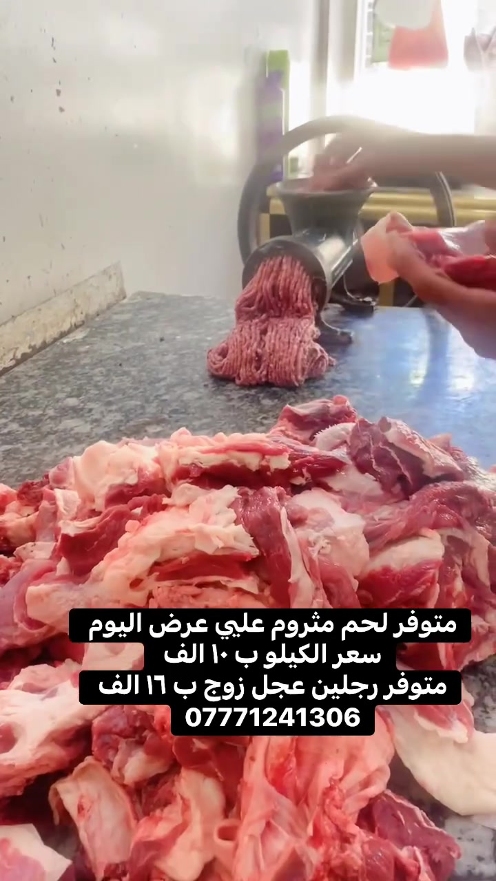 بدون تفاصيل • غير مصنف • عام