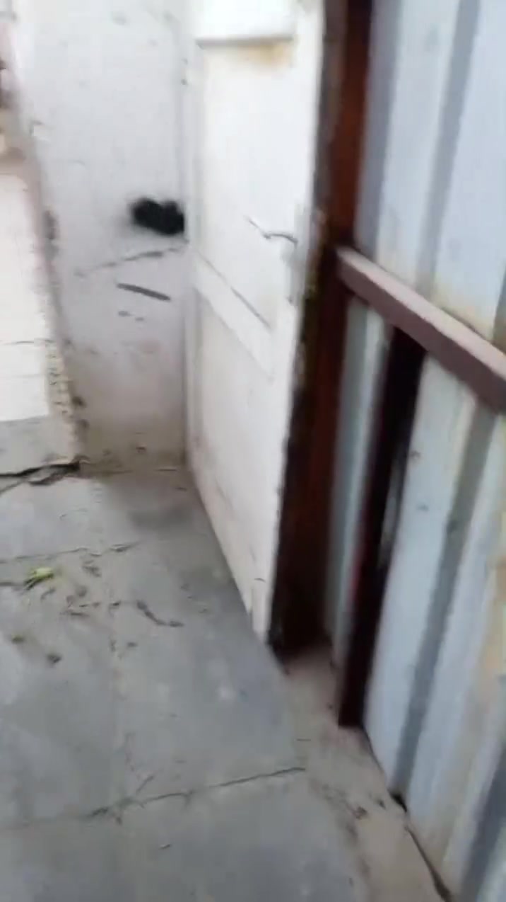 سلام عليكم عدي بيت للايجار قريب على بلديات 
استفسار على هذا رقم ***********
