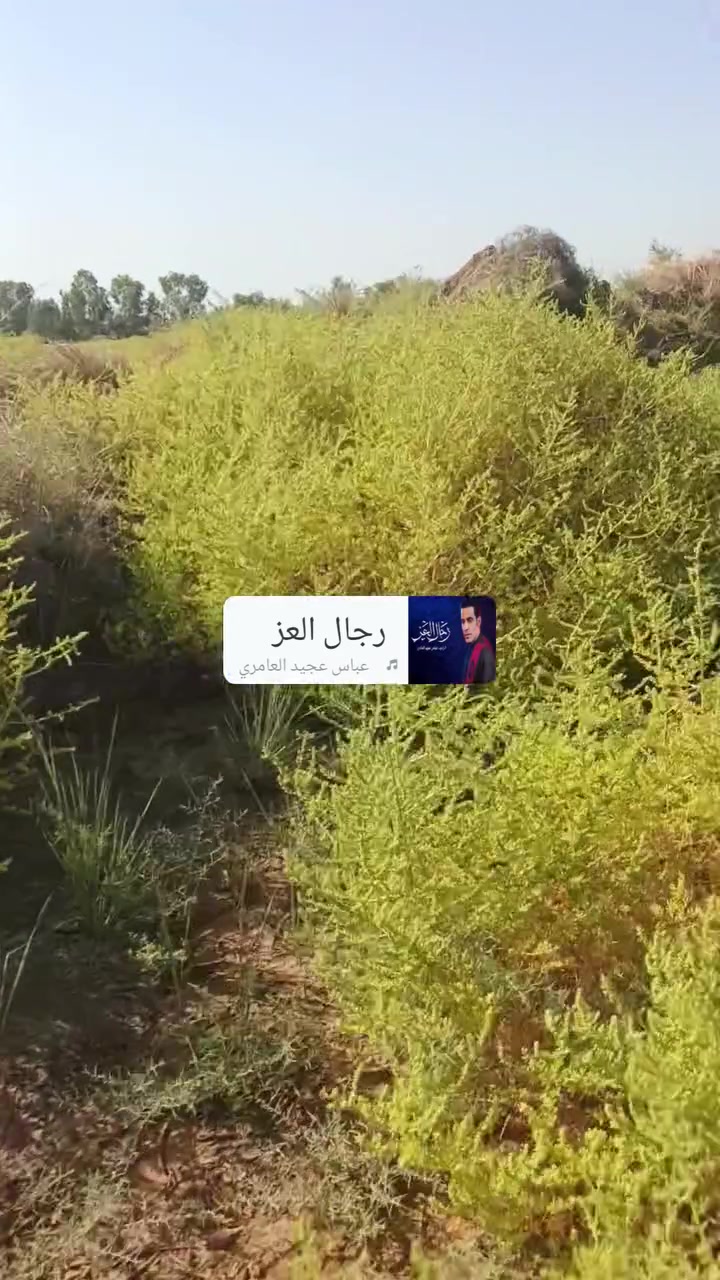 أرض زراعيه ٤ دونم عقد تبعد عن ولايت البشاير  نص كيلو شارع تبليط موجود ماي اساله موجود ماي سقى موجود كهربائ موجوده السعر الاتصال على هاذا الرقم ***********
