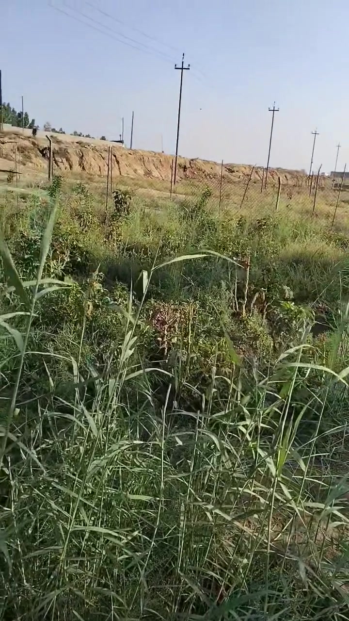قطعة أرض للبيع سند 25 خيرات البتول بغداد قرب الجسر الفرنسي المساحة 585م بيها مي اساله وكهرباء ركن مربعه الوجه على السده معروضة 40 وبيها مجال ***********
