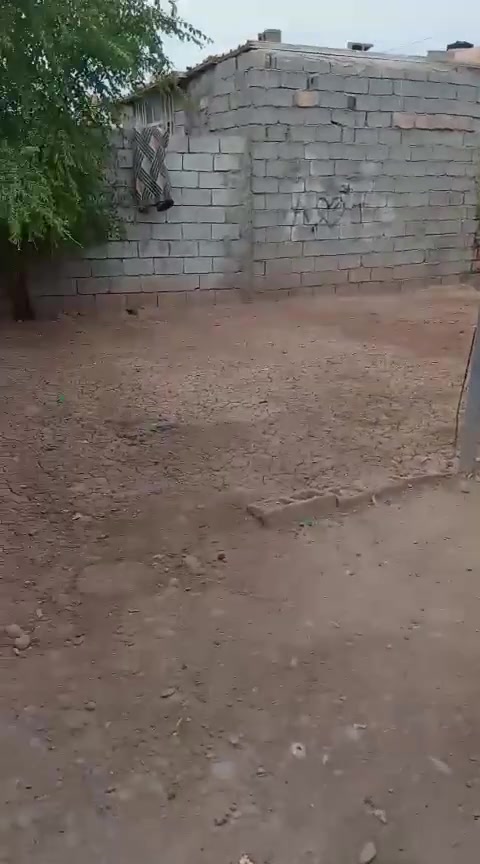 بيت حواسم • الحسينية مسقط • ٢٧٥م