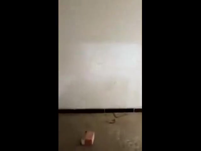 منزل تجاري • الاعظميه السفينه
