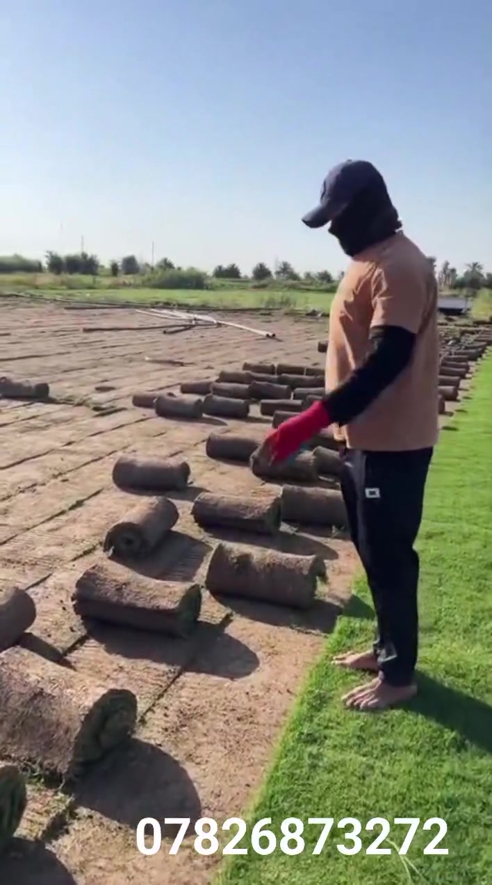#الكل #الجميع #***********
