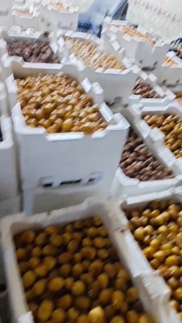 رطب • جملة • السماوه