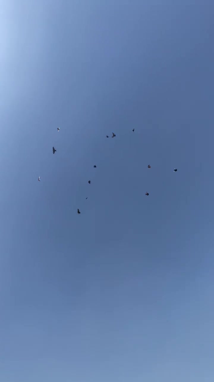 حمام • للبيع • بغداد جديدة