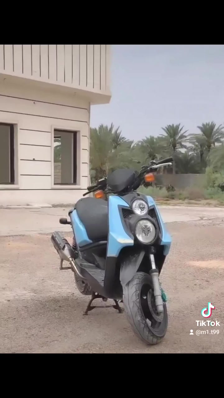 سكنس جبلي • اوراق • تزويد خارجي