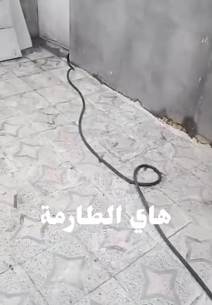 ناصرية حي الفداء • ١٠٠م • غرفتين