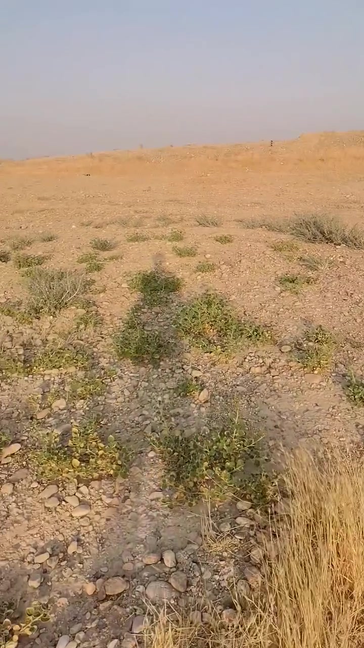سلام عليكم قطع ارض مساحه 300
تجنيت مكاتبه وبسمي  ستفسار ***********
