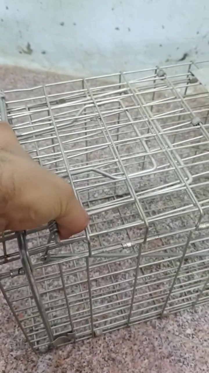 مصياده  او حمام بزازين لبيع 
مكان طوريج ام الهوه 
سعر 25 بيه مجال
غير متواجد على فيس 
***********
