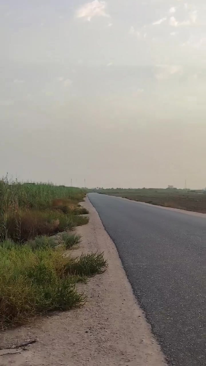 دونم مربع • قابل للتقطيع • عمود 1141
