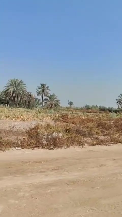 دونم • سند ٢٥ • شارع القناة