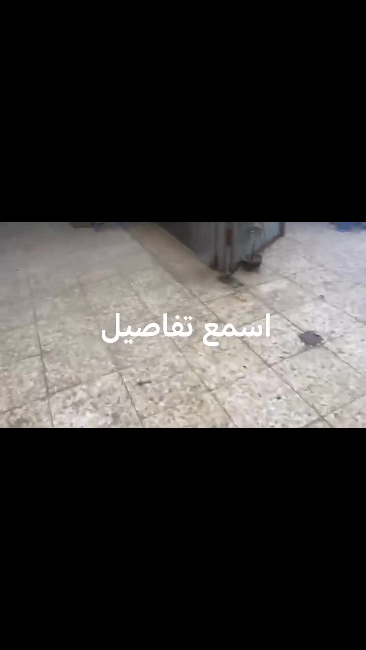 🔥🔥 فرصة سريعة للشراي الجاد ببغداد 🔥🔥
أغراض كوفي للبيع، والمقطع يوضحلكم التفاصيل 👌✨
الغراض حيل نظيفة ومرتبة، واللي يشوفها بالمقطع راح يميز قيمتها بنفسه.
💰 السعر فقط 5 ملايين دينار
‼️ السعر مناسب جداً مقارنة بالغراض
‼️ البيع للشراي الجاد فقط
📩 التفاصيل والتواصل خاص
🚨 اللي جاد لا يتأخر، لأن السعر مناسب والغراض مطلوبة!
شوف المقطع واحكم بنفسك 👀🔥
#كوفيات_للبيع #كوفي_للبيع #اغراض_كوفي #اغراض_كوفيات #بغداد #كوفيات_بغداد #مشروع_كوفي #معدات_كوفي #معدات_كافيه #تجهيز_كوفي #بيع_وشراء #مشاريع_بغداد #استثمار_بغداد #الشراي_الجاد #العرض_خاص #المندوبة_ملك
