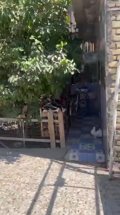 سلام عليكم عندي بيت بل الحميديه البيع بل فرع يم الفران الخويلدي يم سوك لأول تبليط مجاري كامل بيت جاهز مساحة البيت 230 متر. سعر 65 مليون ***********
