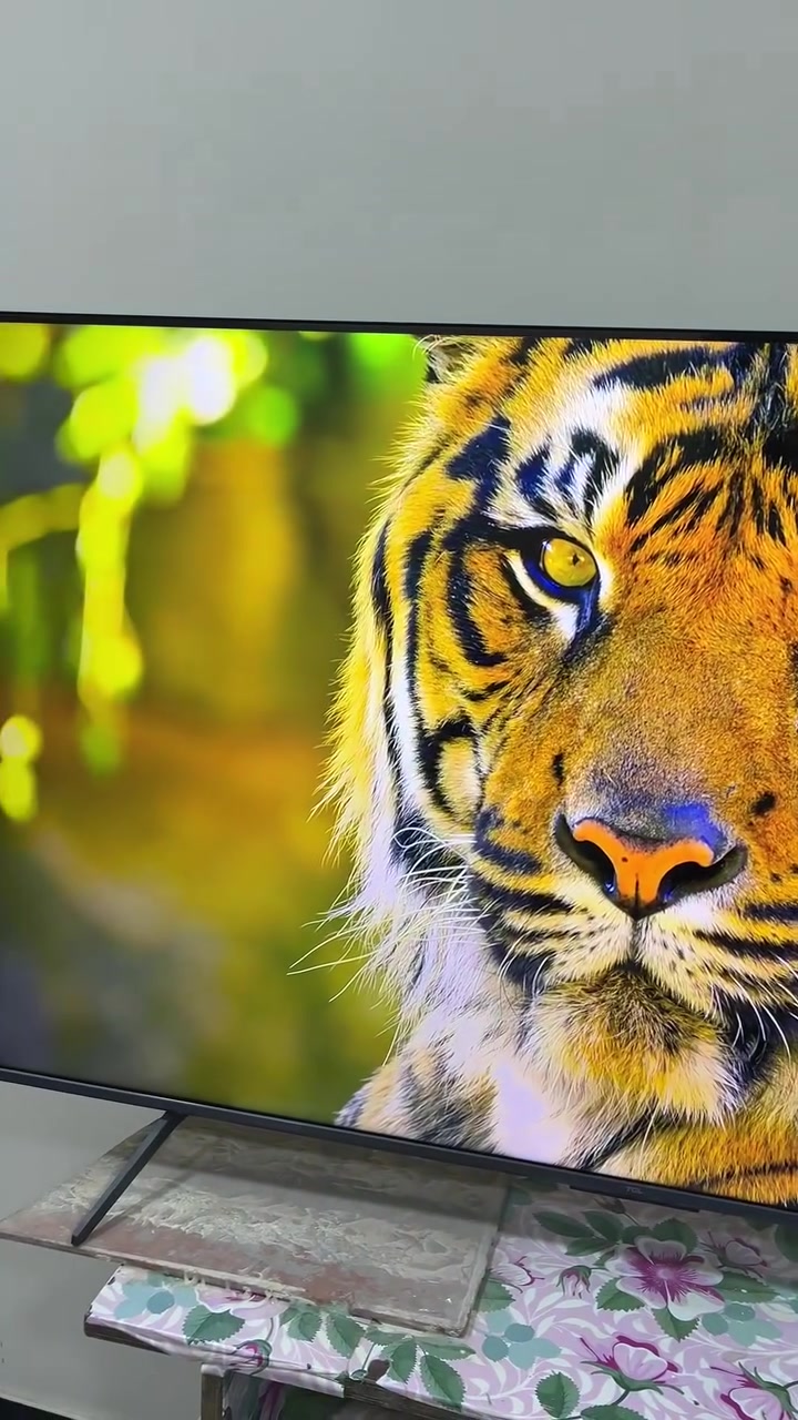 للبيع شاشة TCL C655 كيولد برو
الحجم 55

الدقة 4k

الهرتزية 120

فول مواصفات اذا انت عندك بلي وتلعب العاب ضمانها 3 سنوات من الشركة وماخذها العام

لا داخلة صيانة ولا مفتوحة وغراضها كاملات 

السعر 525 الف وبيها مجال بسيط
مكاني بغداد الشعب

***********
