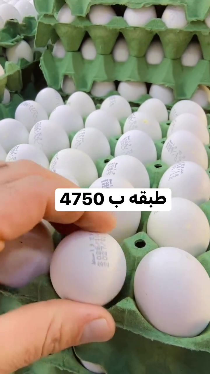بيض عراقي • خشن • توصيل