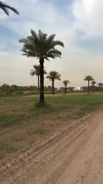 دونمين • واجهة ٥٥م • طابو صرف
