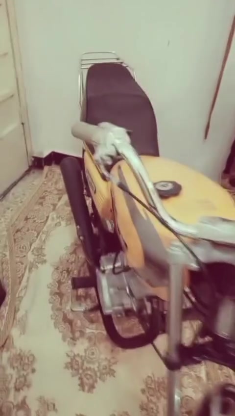 ليفان • نضيفيه • اوراق