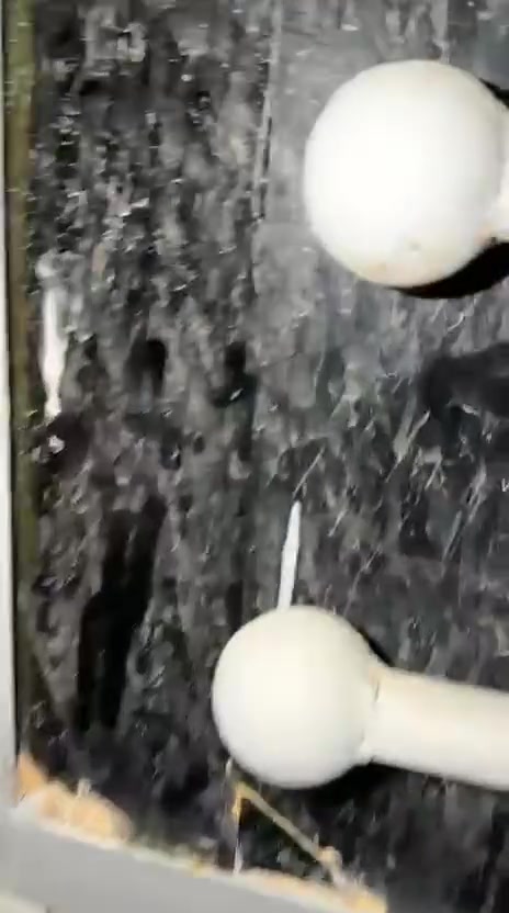 ابو دشير • نقد وقسط • مطبخ جديد