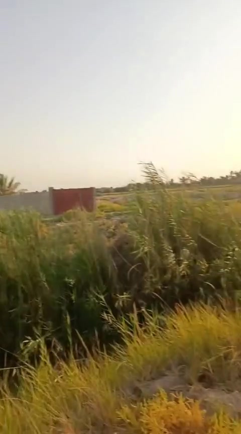 ١٧٨م • زراعي • الرميثه