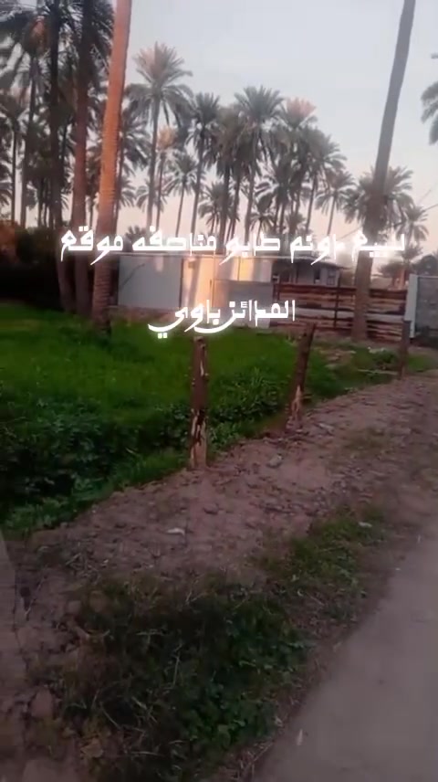 توجد ارض مساحتها دونم جنس لعقار ملك صرف مناصفه بستان مشجر حمضيات ونخيل تصلح سكن عنوان مدائن سلمان باك منطقه باوي قرب جامع النور للاستفسار عن تفاصيل ***********
