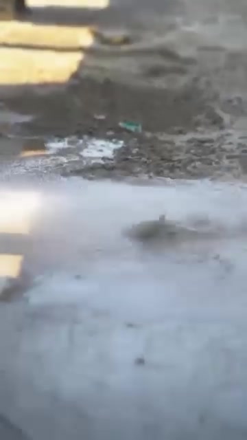 قبل بدء موسم الأمطار… جهّز سطحك من الآن

رووف جارد يساعدك على تجهيز السطح مسبقاً بطبقة عزل مائية متينة ومرنة، مصممة لمقاومة الأمطار والعوامل الجوية وتغطية الشقوق الرفيعة.

من مقاومة الأشعة فوق البنفسجية إلى الالتصاق الجيد بالسطح…

حماية متكاملة لسطحك. 

عازل مائي 🌧🌧١٠٠٪؜ عازل حراري 🔥🔥٧٠٪؜ 

عزل مائي . للاسطح . للجدران . للحمامات . الخزانات المسابح .والسندويش 

مع وجود كارد مخصص للعمل في جميع المناطق 

للأستفسار الاتصال📞☎️☎️ ***********  ويوجد لدينا كادر لعمل الزفت وايزو كام
