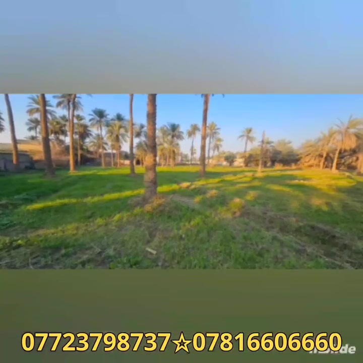 حياكم الله متابعي بيج عقارات الموسوي  

💵السعر( 260 )مليون

🌟🌟توفر لدينا عرض مميز جدا .. 🌟🌟

2 دونم ونص للبيع
 واجه 22 م طابو سند 25 [ سند منفرد ] (تحويل سند بإسم المشتري)

 متوفرة كافة الخدمات
/تبليط/ماء/ كهرباء/ مدارس/مركز صحي/

الموقع كربلاء - منطقة الزبيلية ابو جذوع قرب مدرسة الحكمة تبعد عن مركز مدينة كربلاء 12 كيلو 

💵السعر( 260 )مليون 

للأستفسار التواصل ع الارقام👇👇 الضاهره في الشاشه
