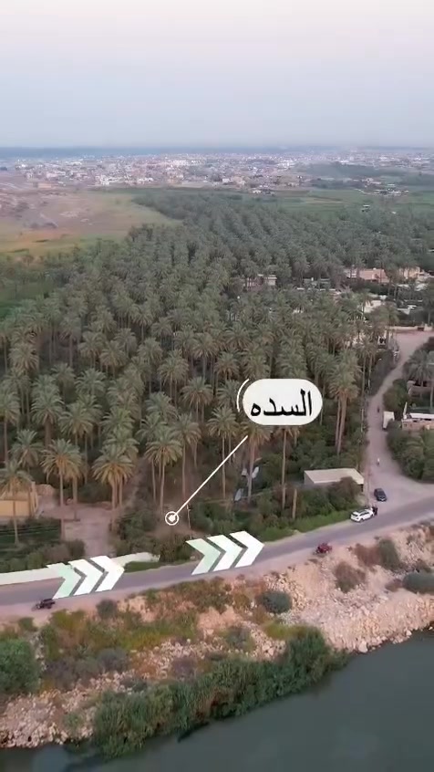 للبيع 
مزرعة طابو زراعي خمسة دوانم ونصف 
الصويرة جويميسه الغربيه للتواصل ***********
