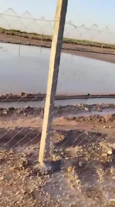 سند ٢٥ • طابو زراعي • ١ دونم