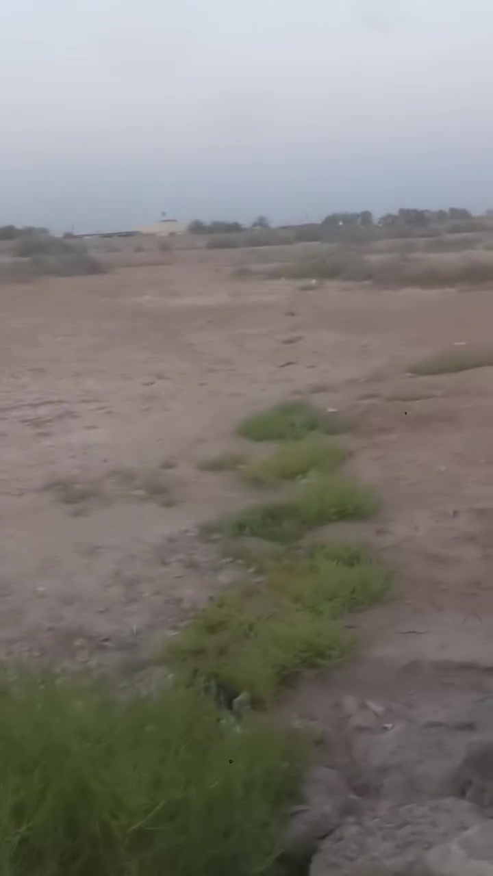 دونم للبيع على السياحي كاصر بوص 
قريب على الشارع سند 25 نزال 95 والوجهية 25 
الشراي بتواصل مع الصفحة أو الاتصال على رقم 
***********
