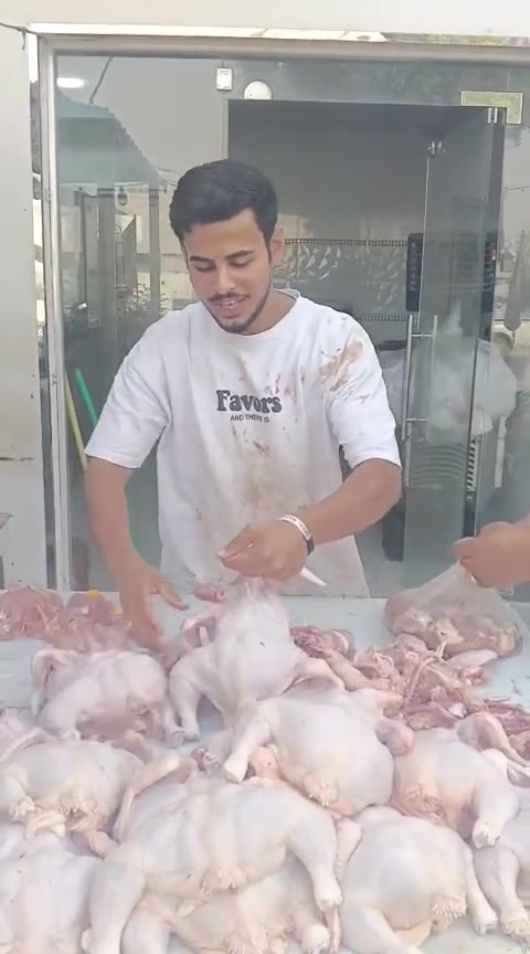 عجل عراقي • المسيب حي المعلمين • مطعم الماجد