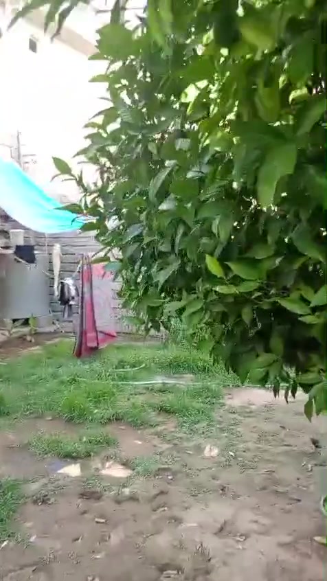بيت للبيع حي القدس الاولى فرع صيدليه المكارم مساحه البيت 200 متر غرفتين هول ومطبخ وصحيات ارضيه الصبه سعر البيت 85 قفل رقم الهاتف*********** بي واتساب***********
