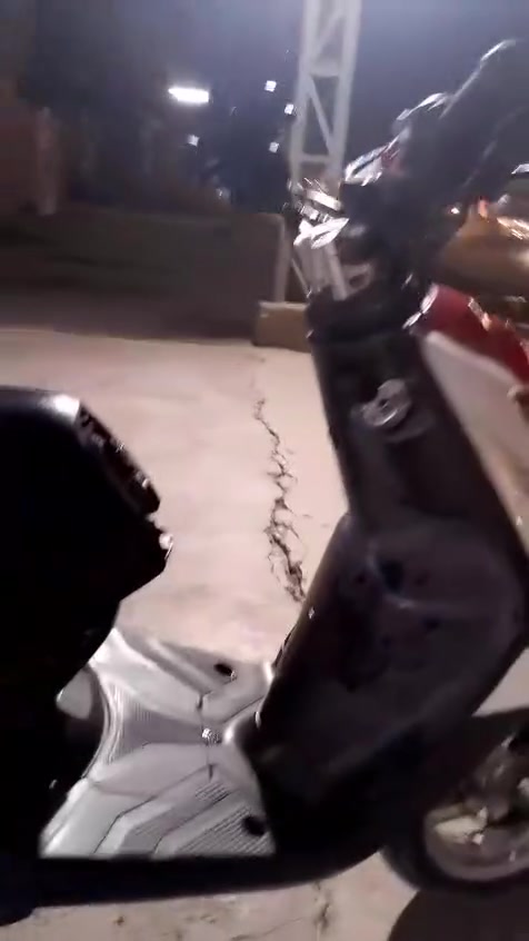 سكنس جبلي • مكفوله • ختم واحد