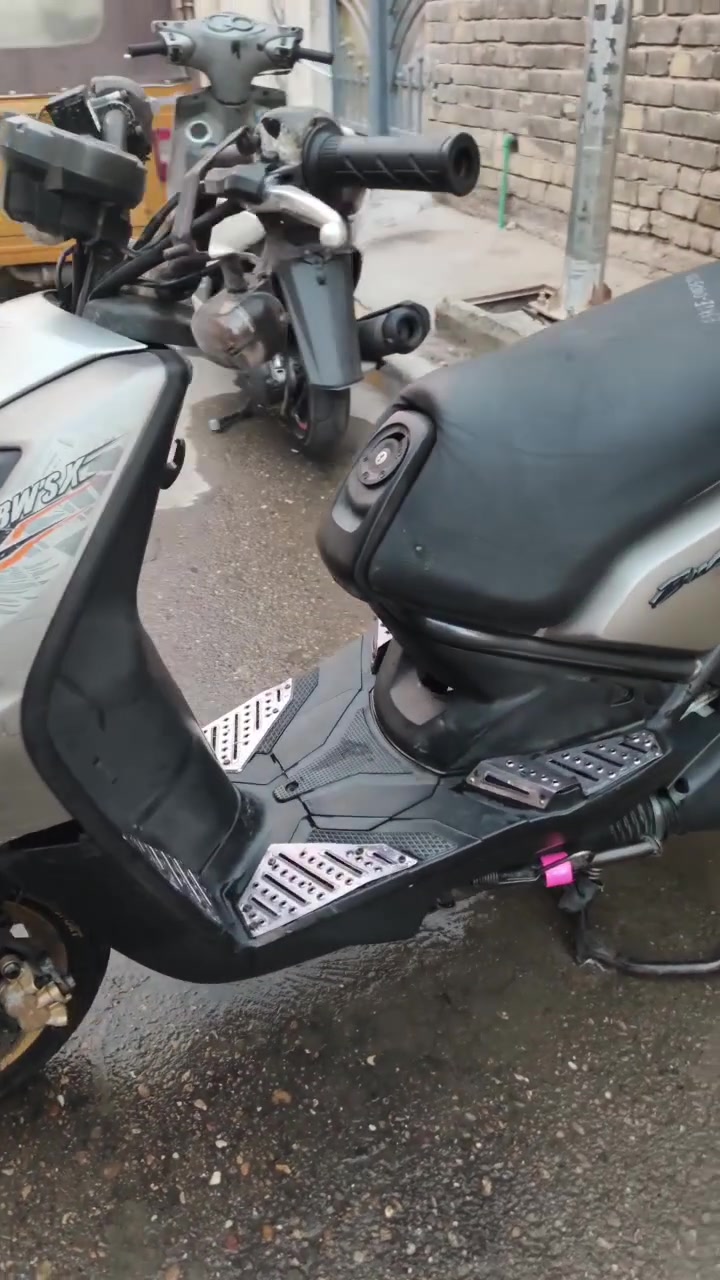 سكنس جبلي • مكفوله • كفاله عامه