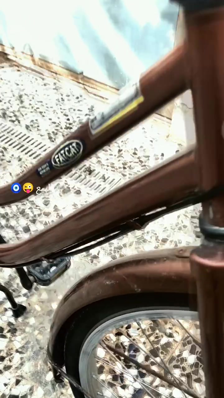 بسكليت • للبيع