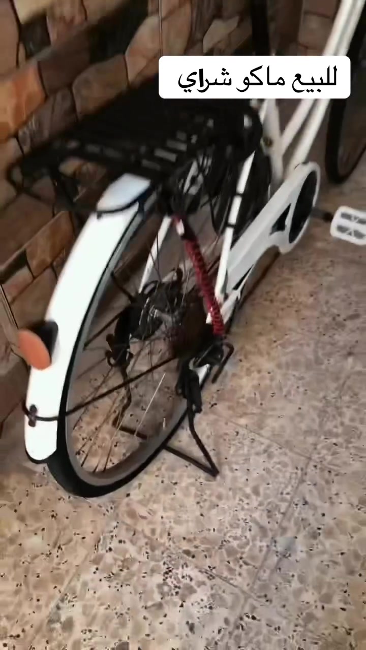 سلام عليكم شباب باسكل موزه عكرب حجم 26باسكل مفول نضيف حيل لون ابيض لباسكل نضيف قبل 20يوم نزلته من الحاويه من صدريه وهسه اريد ابيعه موديل 2018 ✅
دسك 90صفاره بي✅
بركيات شغالات ✅
بريك خلفي شحط ✅
جاملغاته موجوده ✅
لباسكل كله مختم ✅
رايده للبيع او للمراوس باسكل ✅
اذا بيع سعره 135 وبي مجال ✅
لباسكل مفول ✅
مكاني بغداد المحمودية حي لمرتضى
✅
رقمي مخابره او واتساب 
           ***********
