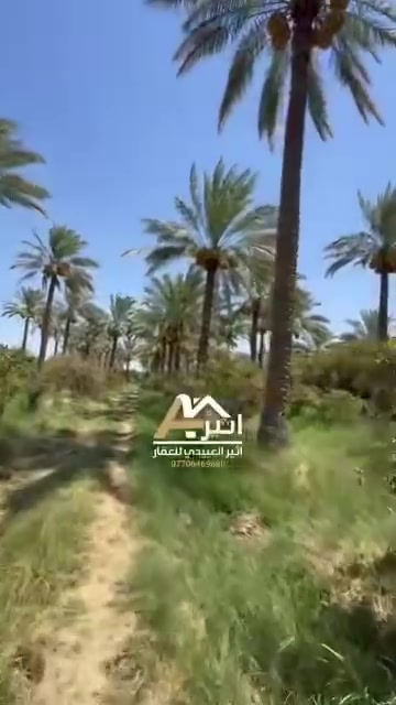 بستان • للبيع