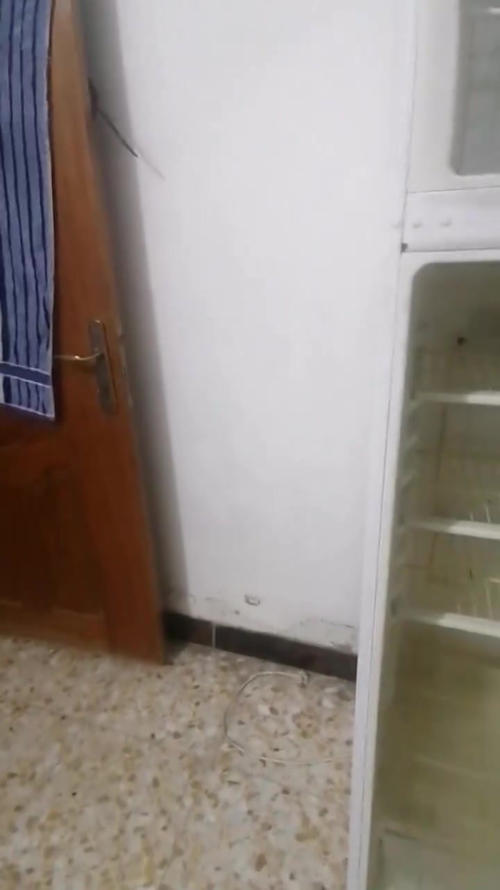 سلام عليكم ثلاجه للبيع للتوصل.
***********
