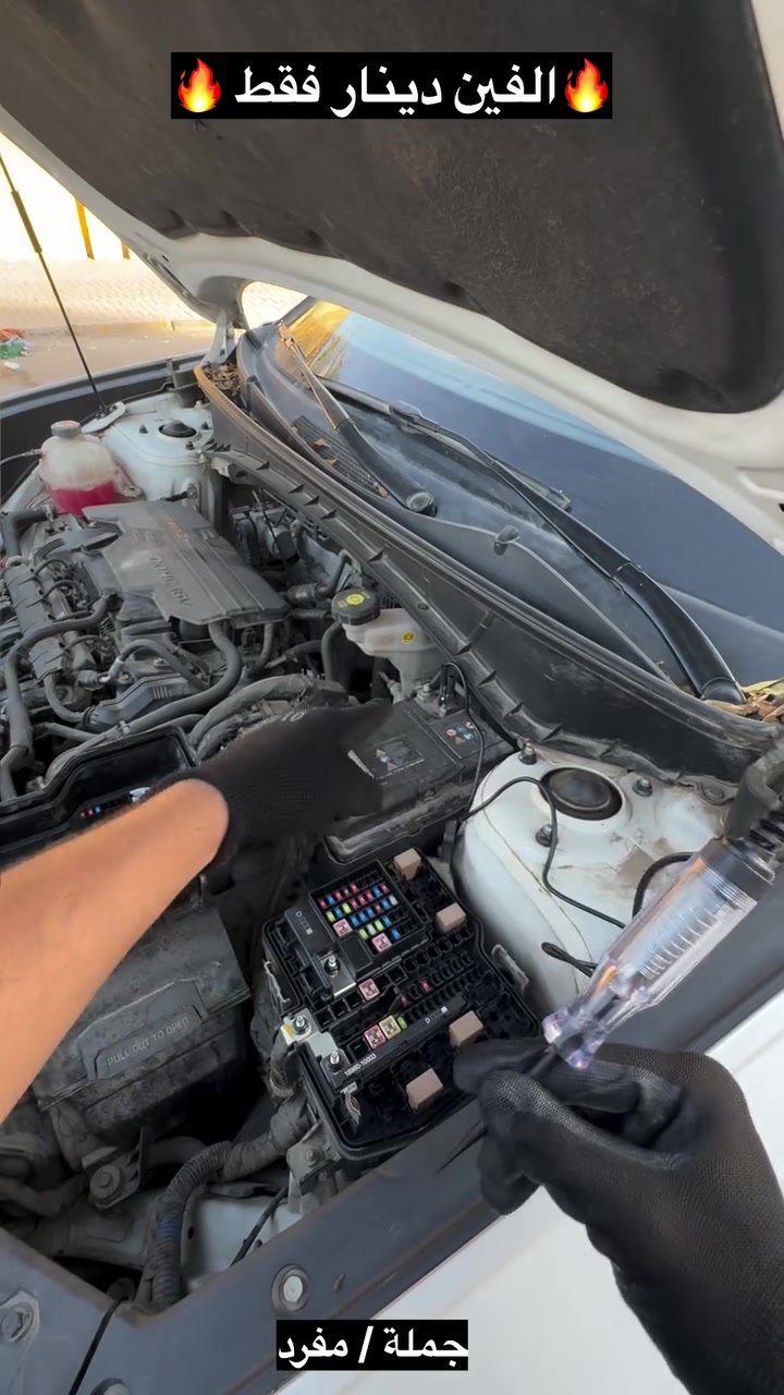 🔧🚗 درنفيس فحص فيوزات السيارة

لا تحتار بعد اليوم إذا انحرق فيوز بسيارتك! ⚡
هذا الدرنفيس يساعدك على فحص فيوزات السيارة بسرعة وسهولة ومعرفة الفيوز السليم من التالف.

✅ سهل الاستخدام
✅ حجم صغير ومناسب للسيارة
✅ يساعدك على اكتشاف الفيوز المحروق
✅ مفيد للبيت والسفر والطوارئ 🔧

📦 متوفر مفرد

📞 للطلب والاستفسار: ***********

🚚 توصيل متوفر

#كماليات_السيارات #فحص_فيوزات #فيوزات_السيارة #درنفيس_فحص #اكسسوارات_السيارات #كماليات_زون
