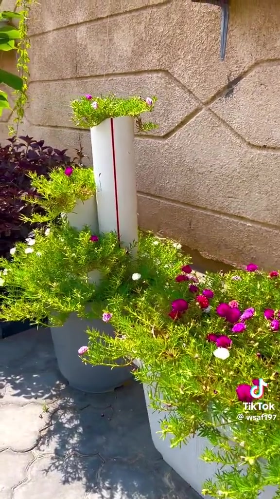 صباح الخير 💕😍
كل ٣ وردات بالفين.  ورد دافع خير من  الله 😍💐💐
توفر ورد. صباح عراقي جميع الوان 

يم مشتل الدجيل

العنوان شارع البلديه عل محيط 

لاستفسار ***********📞📱

توجد خدمه توصيل 🚚
