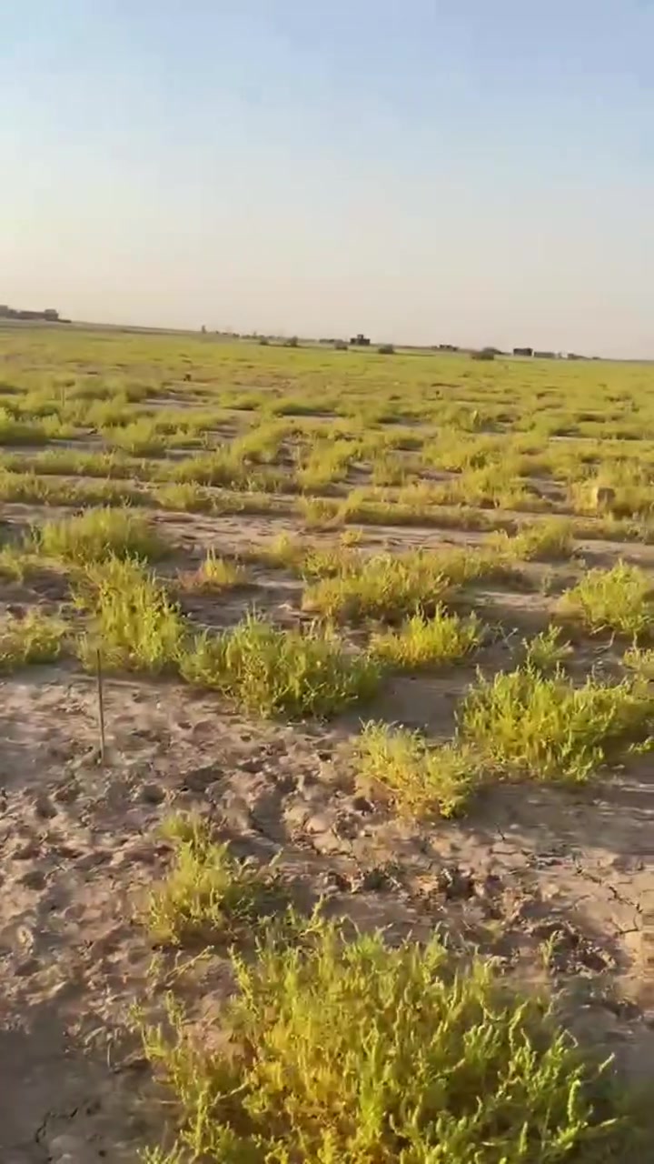 قطعه ارض للبيع 

مساحه 480متر 

المكان شارع الدمن قريه اعبادة 

كهرباء ومي واصل 

السعر 20مليون وبيها مجال 

انتصال عل رقم 

***********
