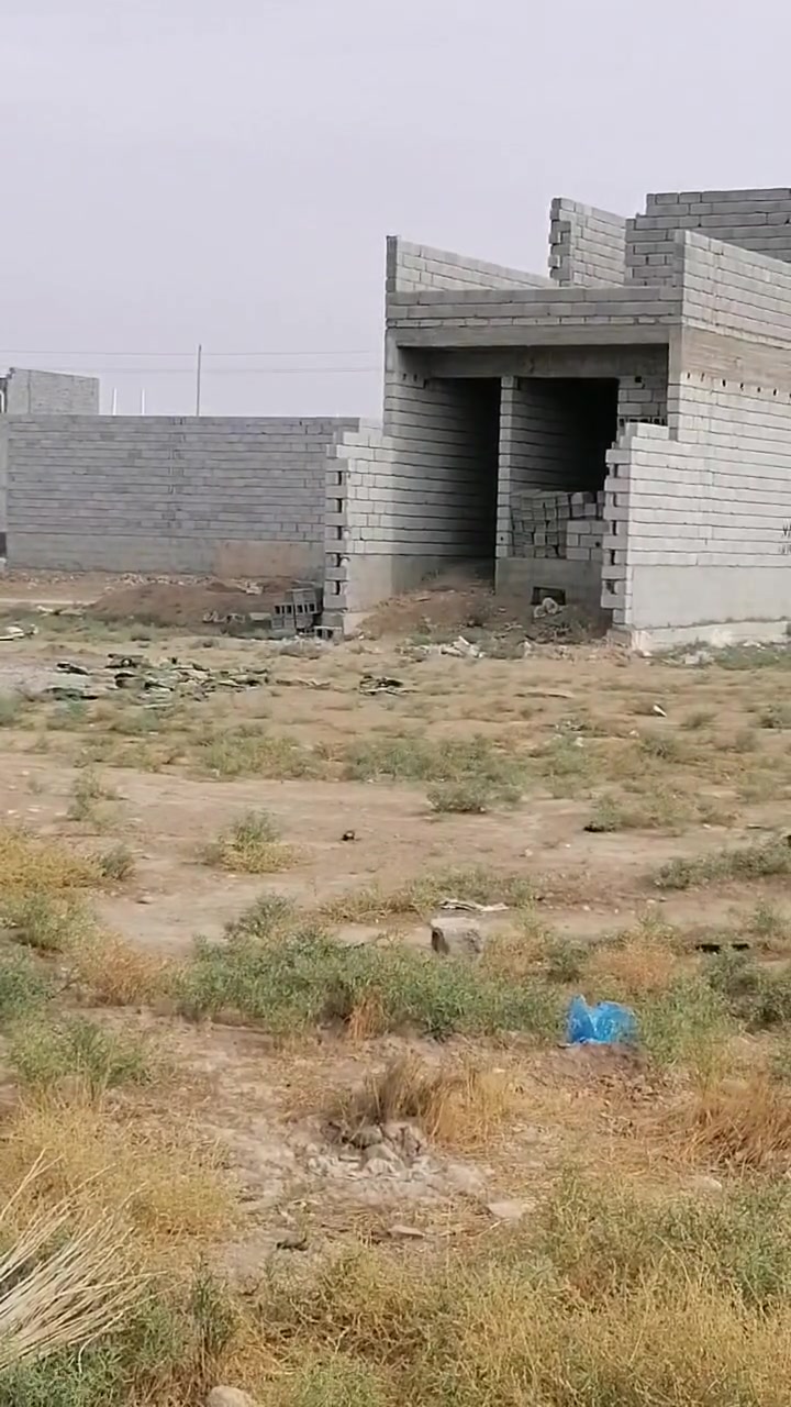 هيكل • ١٠٠م • بلدروز حي القادة