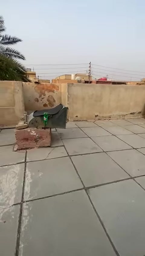 سلام عليكم للبيع دار ملك صرف ٢٠٠م خلف البنزين خانه الجديد ومدرسةصناعه الجديده  يعني من يم شارع جامع نور وتدخله اصير منطقه على اليسار واتساب متوفر للاستفسار *********** مقابيل ماركت دبي الحسينيه مال راشديه
