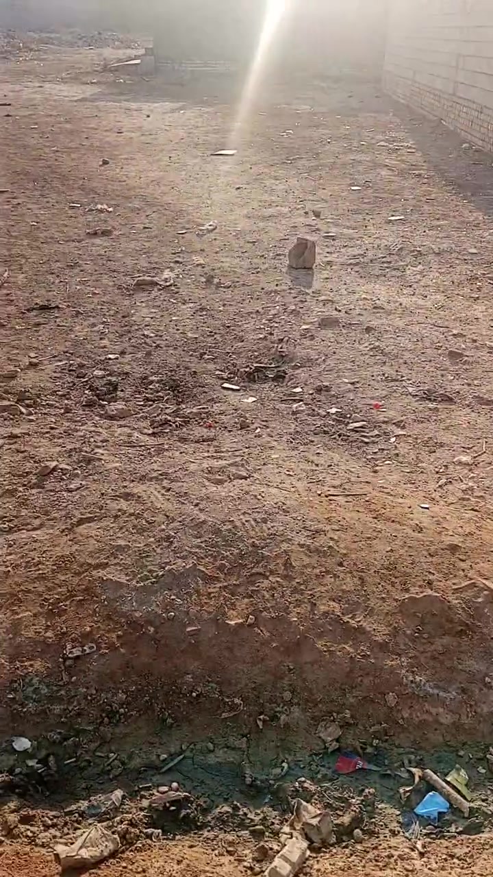 ***********
