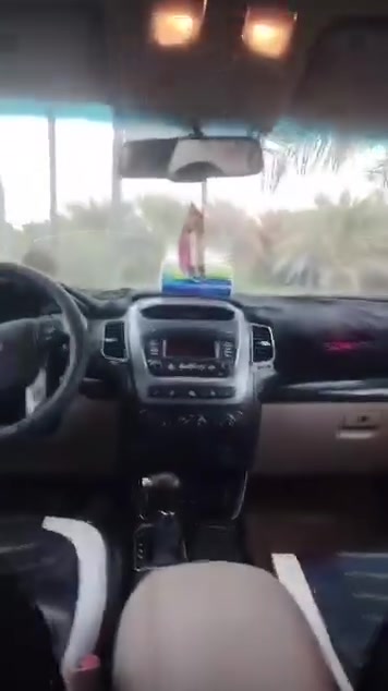 التفاصيل داخل الصوره

نص مكتوب في الصور:
- تم إضافة نص
- يهالسلام عليكم سورنتو للبيع فقط
- مديل 2015 مكفولة كفالة عامه رقم
- كربلاء انكليزي بسمي سنويه 2030
- السياره نص فول مكينه 3500 مكينه
- 6v سياره 7 راكب مكاني نجف أبو
- صخير السعر اتصال على الرقم
- إخوان رحم الله والديكم مكلف بل نشر
- الاتصال ***********