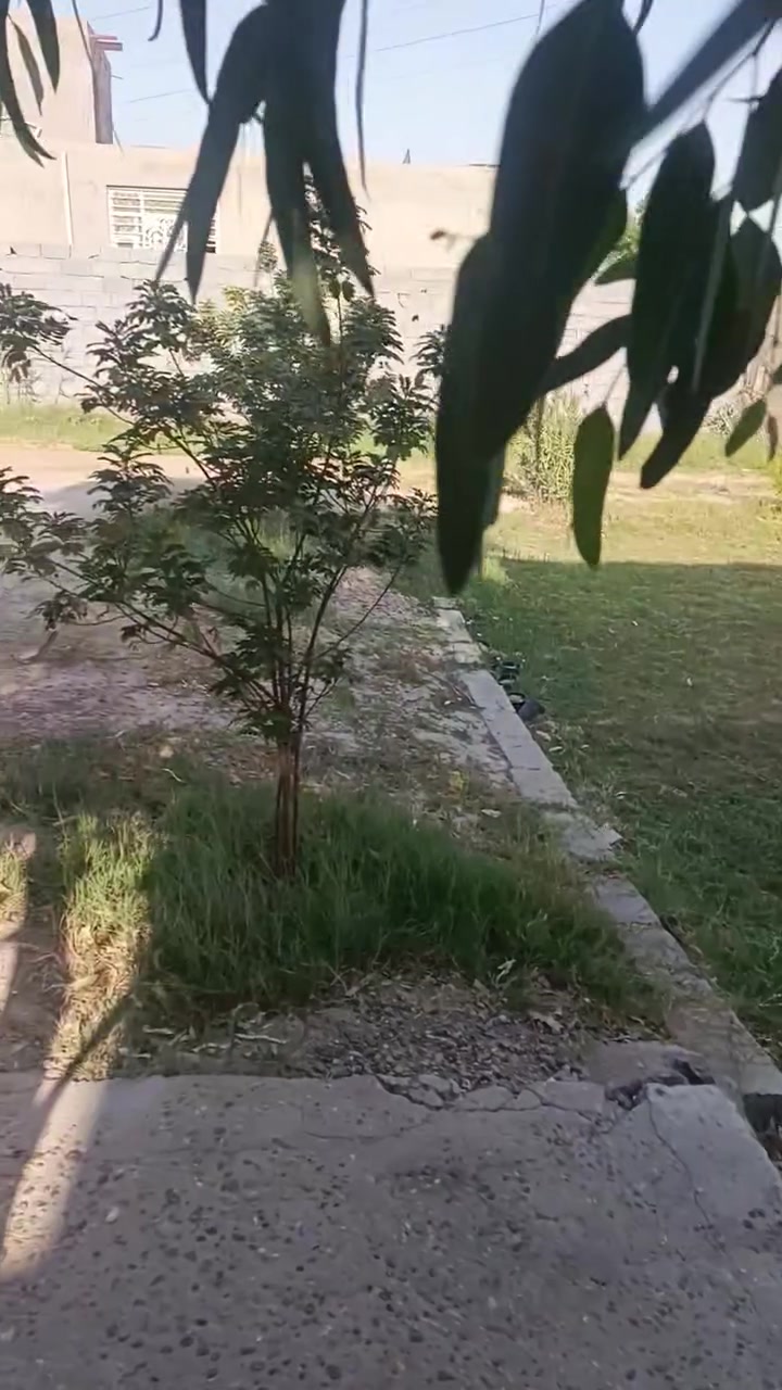 يالله السلام عليكم. للبيع 1400 متر مع مشتمل، الارض طابو زراعي سند 25 تحويل مباشر، الخدمات كلها متوفره، العنوان 
بابل المشروع-كيلو10 بداية طريق ابو الجاسم من جهة طريق حله بغداد) 
السعر 85 وبيها مجال. اخوان كلشي ذاكر والشراي يجي ويشلع عيوني ماقصر ويا
***********
او رساله عالواتساب او ماسنجر
