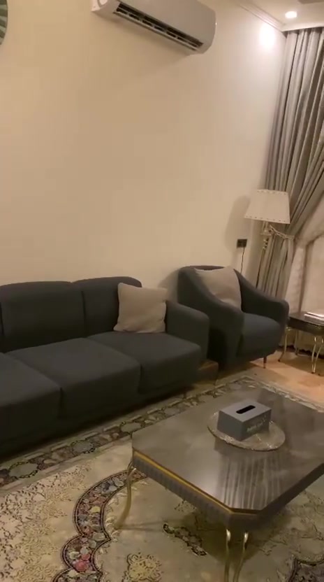 حريه • جوزي • رصاصي
