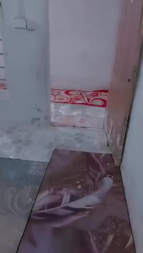 ساهرون شارع سواعد • ١٠٠م • طابو زراعي