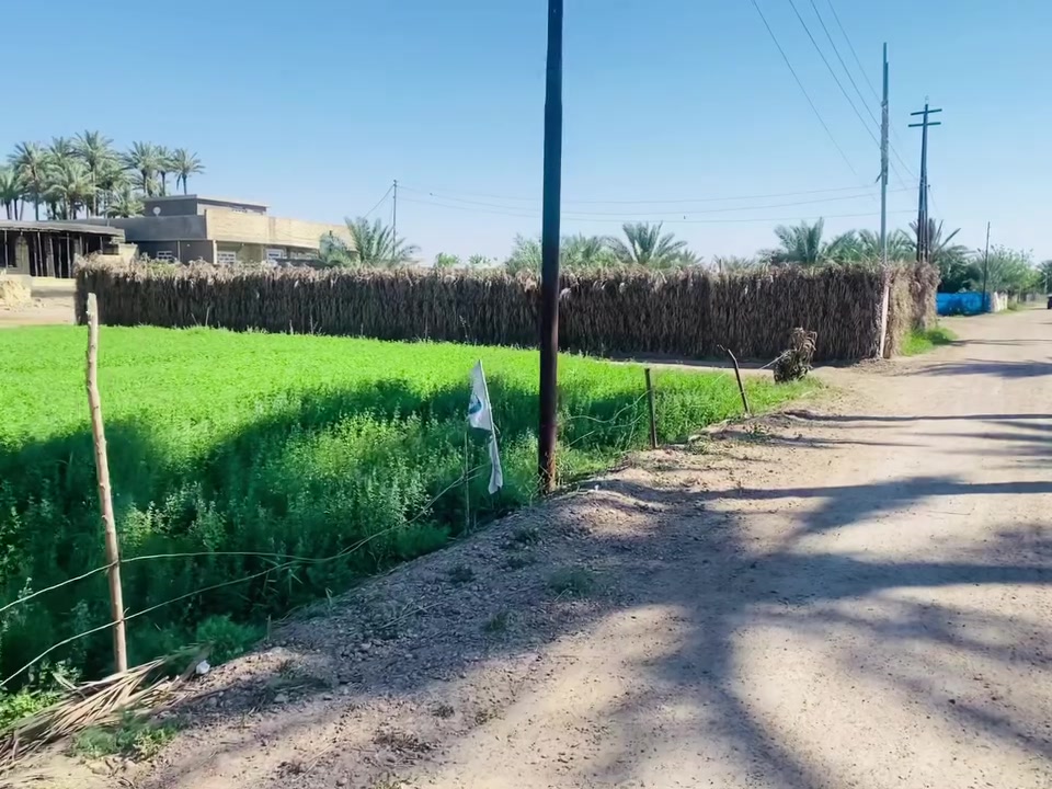 الصقلاوية المصالحة • زراعي • ١٥٠٠م